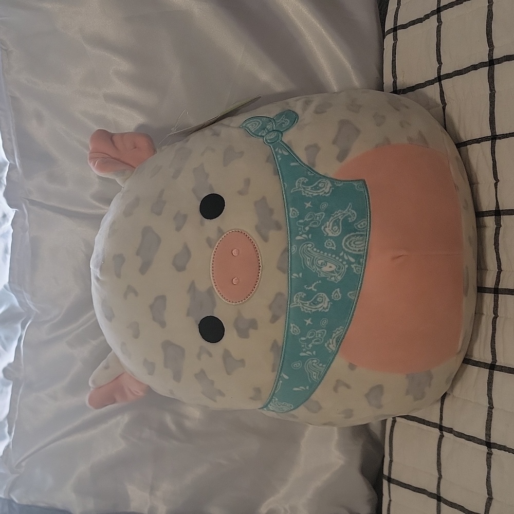 Rosie the pig!